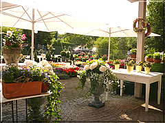 Grosse Auswahl an Fr�hlingsschnittblumen und Flor