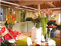 Fr�hlingsschnittblumen