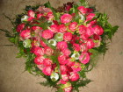 106-0621_IMG.JPG