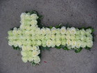 106-0634_IMG.JPG
