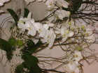 106-0662_IMG.JPG