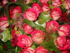 106-0622_IMG.JPG