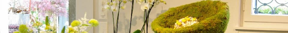 IMGP2464.jpg