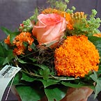 p�nter. blumen. garten. - Blumen