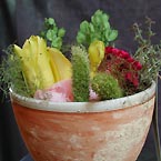 p�nter. blumen. garten. - Blumen