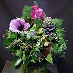 p�nter. blumen. garten. - Blumen