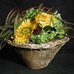 p�nter. blumen. garten. - Blumen