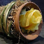 p�nter. blumen. garten. - Blumen
