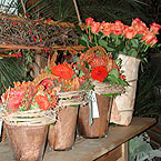 p�nter. blumen. garten. - Blumen