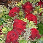 p�nter. blumen. garten. - Blumen