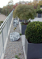 p�nter. blumen. garten. - Gartenbau