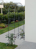 p�nter. blumen. garten. - Gartenbau