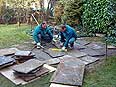 p�nter. blumen. garten. - Gartenbau