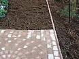 p�nter. blumen. garten. - Gartenbau