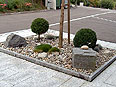 p�nter. blumen. garten. - Gartenbau