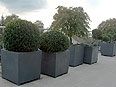 p�nter. blumen. garten. - Gartenbau