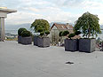 p�nter. blumen. garten. - Gartenbau