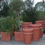 p�nter. blumen. garten. - Gef�sse und T�pfe