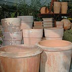 p�nter. blumen. garten. - Gef�sse und T�pfe
