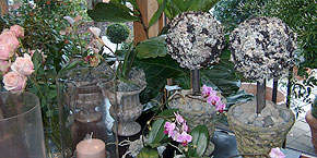 p�nter. blumen. garten. - Wohnaccessoires