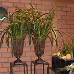 Pantasievolle Arrangements