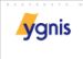 Blumer Ygnis