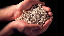 Pellets,Pellets Lieferanten,Brennstoff,Pellets Brennstoff