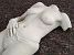 Rosa Torso
