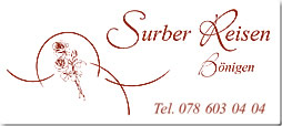 Surber Carreisen