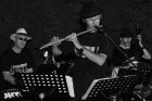 ca0_7349.jpg