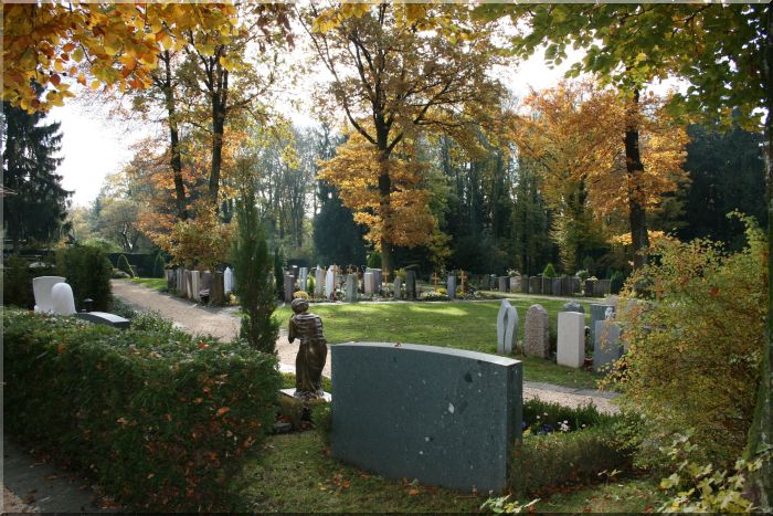Friedhof02.jpg