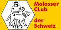 Molosser-Club der Schweiz