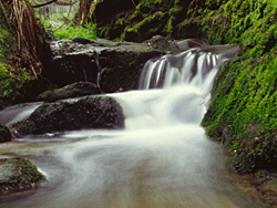 Wasser