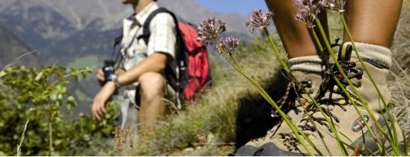 Wandern, Braunsbergerhof