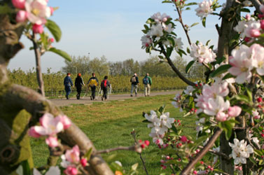 Nordic Walking Braunsbergerhof