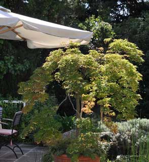 Wellness, Relaxen, Braunsbergerhof, Urlaub, Lana, meran