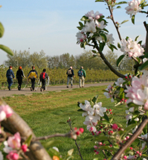 Urlaub, Freizeit Lana, Meran, Wandern, Biken, Nordic Walking, Bergsteigen, Braunsbergerhof