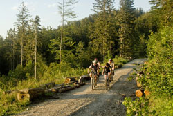 Biken, Lana, Meran; Südtirol
