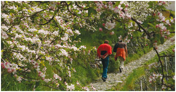 Wandern in Lana, Meran