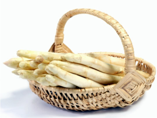 spargel540.jpg