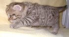 Freddy Bild 4