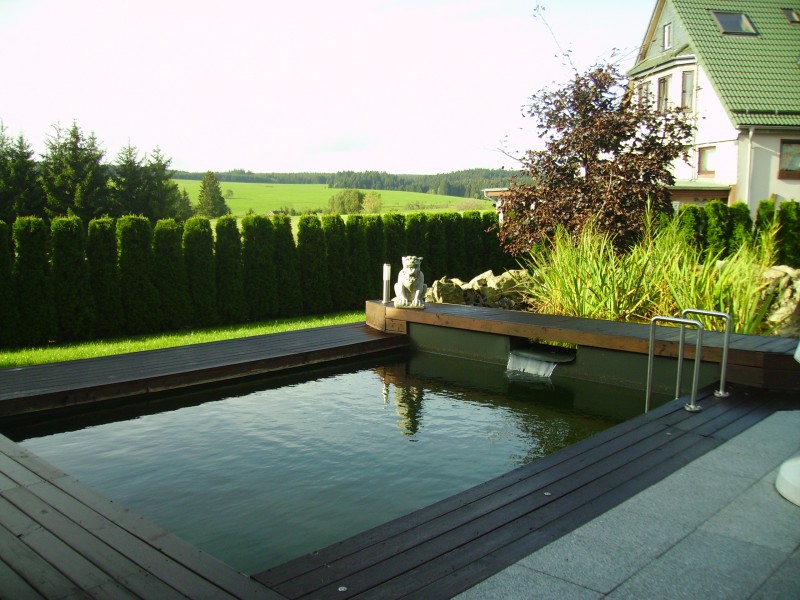 Schwimmteich auf Naturbasis