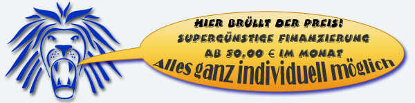 individuelle Finanzierung des F&uuml;hrerscheins