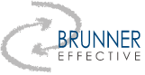 Brunner Effective - Unternehmungsentwicklung