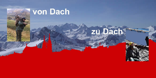 Buchli GmbH - Bedachungen