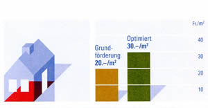Wand / Boden (gegen unbeheizt)