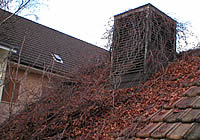 Dach- und Rinnenreinigung
