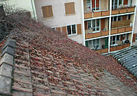 Dach- und Rinnenreinigung