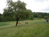 TourdeWutz2011033.jpg