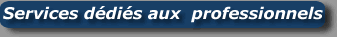 Detective priv� professionnel